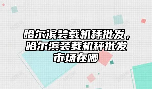 哈爾濱裝載機(jī)秤批發(fā)，哈爾濱裝載機(jī)秤批發(fā)市場在哪