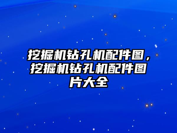 挖掘機鉆孔機配件圖，挖掘機鉆孔機配件圖片大全