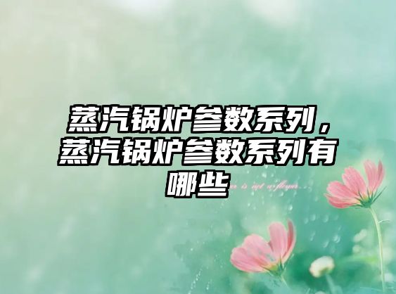 蒸汽鍋爐參數(shù)系列，蒸汽鍋爐參數(shù)系列有哪些