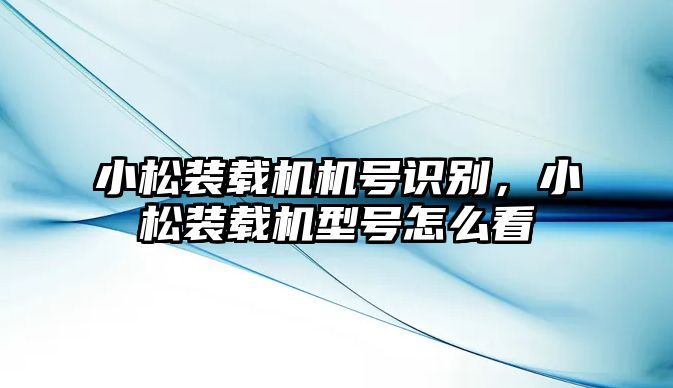 小松裝載機機號識別，小松裝載機型號怎么看