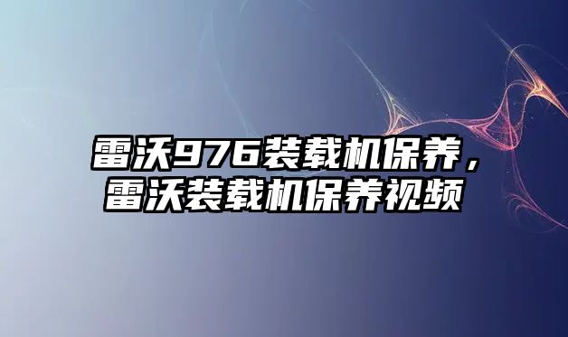 雷沃976裝載機保養(yǎng)，雷沃裝載機保養(yǎng)視頻