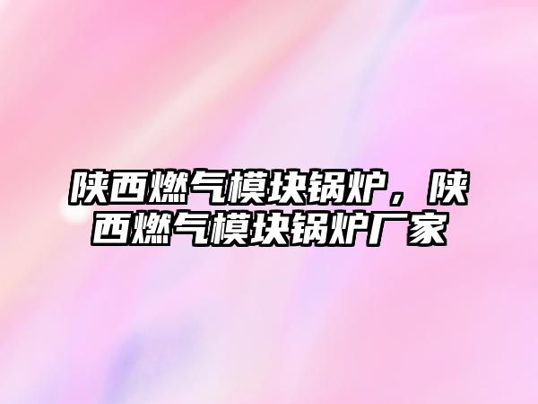 陜西燃?xì)饽K鍋爐，陜西燃?xì)饽K鍋爐廠家