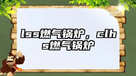 lss燃?xì)忮仩t，clhs燃?xì)忮仩t