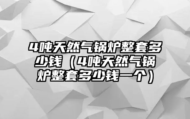 4噸天然氣鍋爐整套多少錢（4噸天然氣鍋爐整套多少錢一個(gè)）