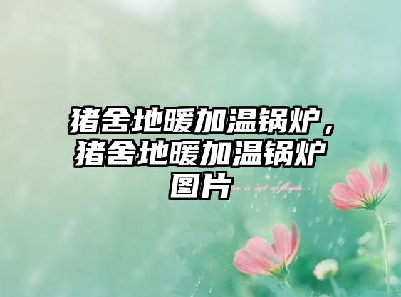 豬舍地暖加溫鍋爐，豬舍地暖加溫鍋爐圖片