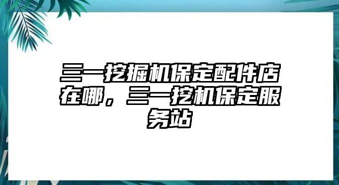 三一挖掘機保定配件店在哪，三一挖機保定服務站