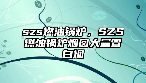 szs燃油鍋爐，SZS燃油鍋爐煙囪大量冒白煙