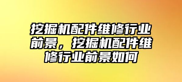 挖掘機(jī)配件維修行業(yè)前景，挖掘機(jī)配件維修行業(yè)前景如何