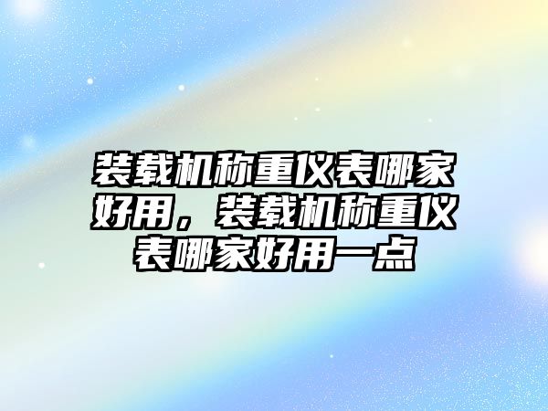 裝載機稱重儀表哪家好用，裝載機稱重儀表哪家好用一點