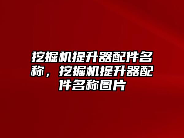 挖掘機提升器配件名稱，挖掘機提升器配件名稱圖片