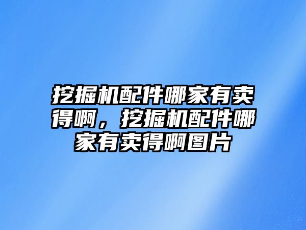 挖掘機(jī)配件哪家有賣得啊，挖掘機(jī)配件哪家有賣得啊圖片