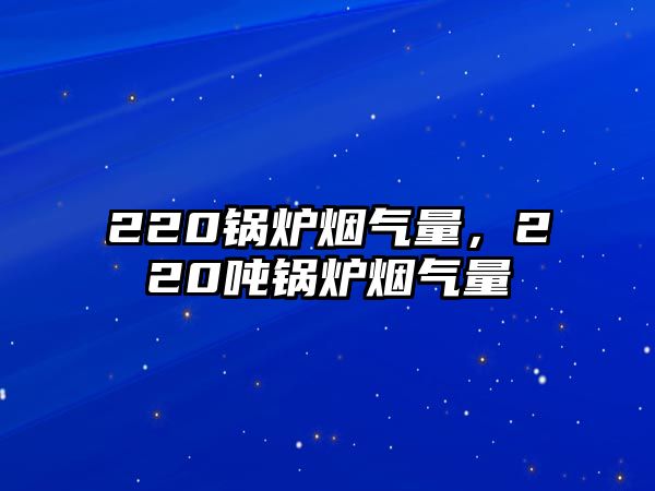 220鍋爐煙氣量，220噸鍋爐煙氣量