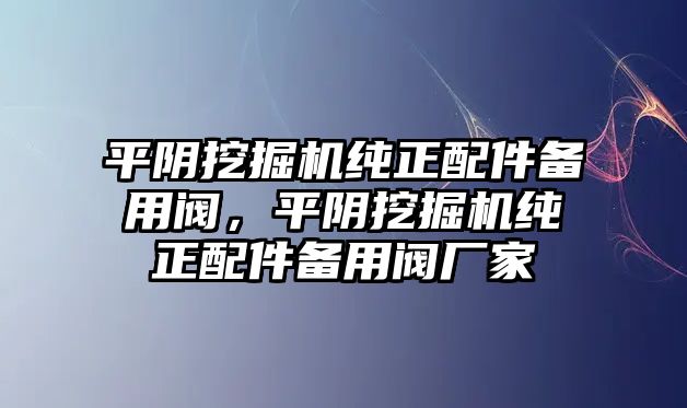 平陰挖掘機(jī)純正配件備用閥，平陰挖掘機(jī)純正配件備用閥廠家