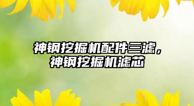 神鋼挖掘機配件三濾，神鋼挖掘機濾芯