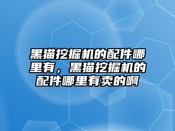 黑貓挖掘機(jī)的配件哪里有，黑貓挖掘機(jī)的配件哪里有賣的啊