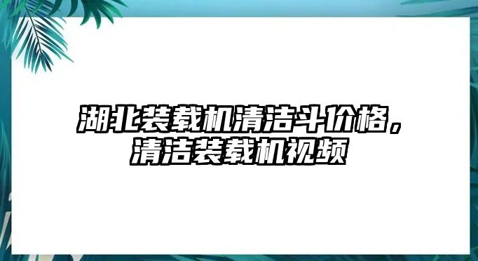 湖北裝載機清潔斗價格，清潔裝載機視頻