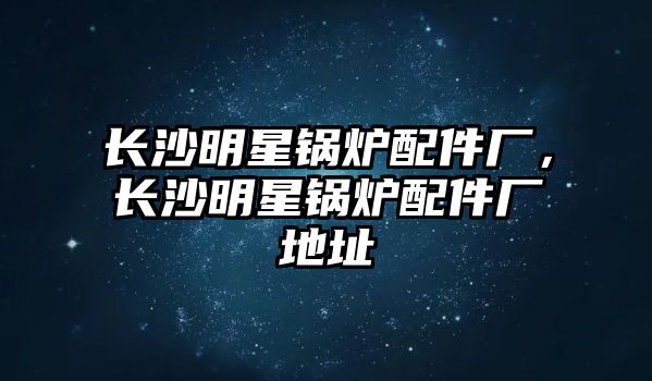 長(zhǎng)沙明星鍋爐配件廠，長(zhǎng)沙明星鍋爐配件廠地址