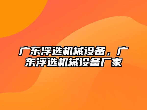 廣東浮選機(jī)械設(shè)備，廣東浮選機(jī)械設(shè)備廠家