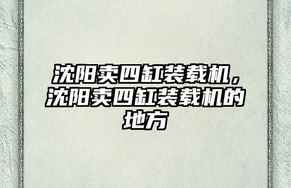 沈陽賣四缸裝載機，沈陽賣四缸裝載機的地方