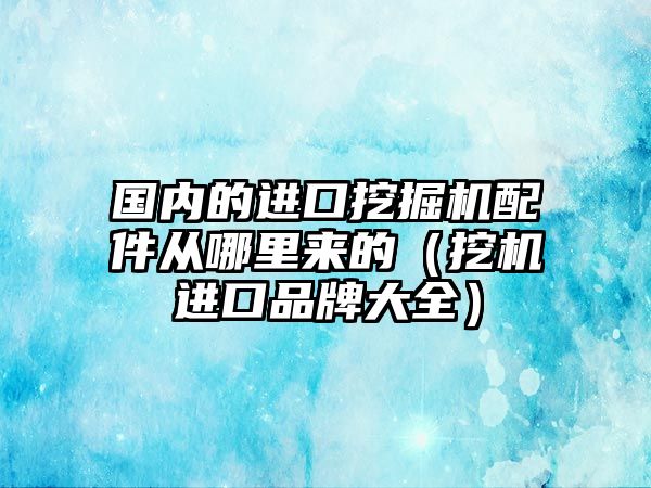 國(guó)內(nèi)的進(jìn)口挖掘機(jī)配件從哪里來(lái)的（挖機(jī)進(jìn)口品牌大全）