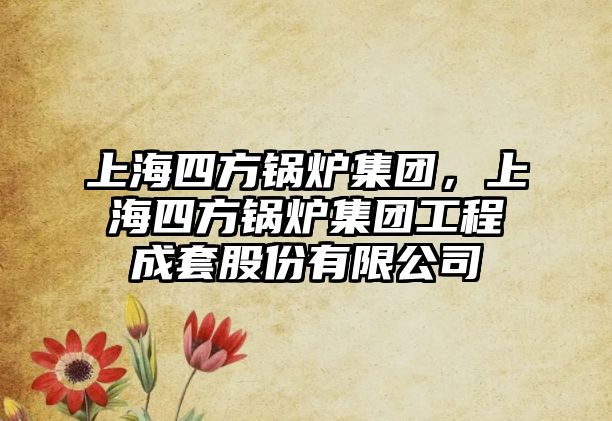 上海四方鍋爐集團(tuán)，上海四方鍋爐集團(tuán)工程成套股份有限公司