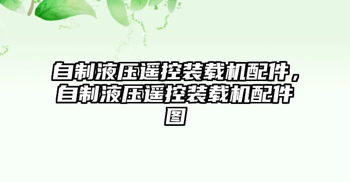 自制液壓遙控裝載機(jī)配件，自制液壓遙控裝載機(jī)配件圖