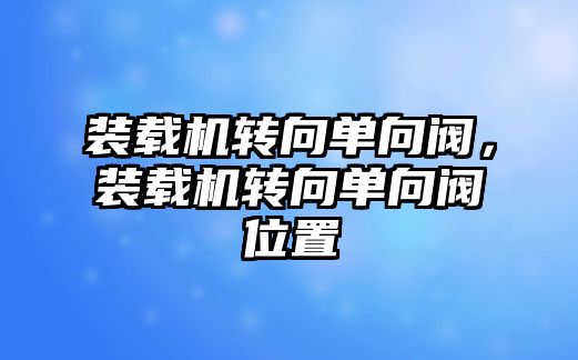 裝載機轉向單向閥，裝載機轉向單向閥位置