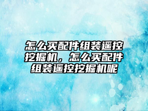 怎么買配件組裝遙控挖掘機，怎么買配件組裝遙控挖掘機呢