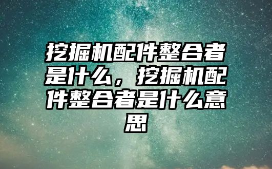 挖掘機(jī)配件整合者是什么，挖掘機(jī)配件整合者是什么意思