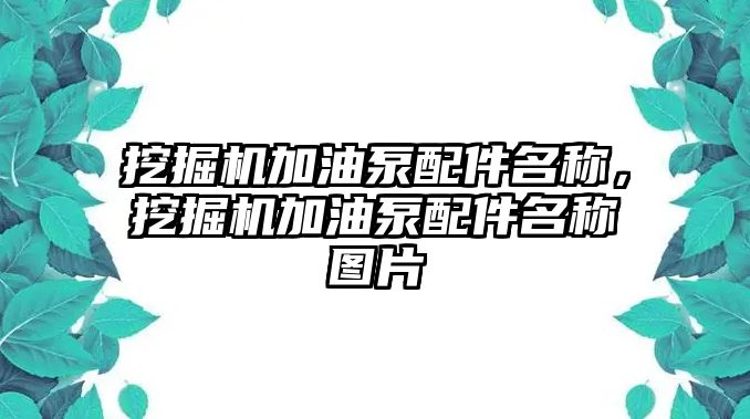 挖掘機(jī)加油泵配件名稱，挖掘機(jī)加油泵配件名稱圖片