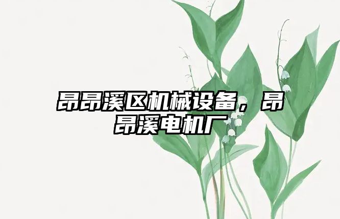 昂昂溪區(qū)機械設(shè)備，昂昂溪電機廠