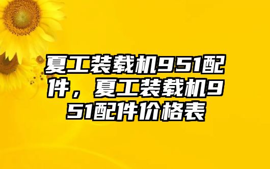 夏工裝載機(jī)951配件，夏工裝載機(jī)951配件價(jià)格表