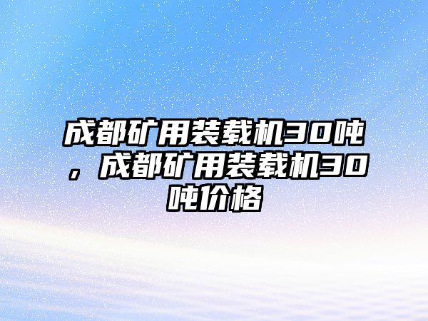 成都礦用裝載機(jī)30噸，成都礦用裝載機(jī)30噸價(jià)格