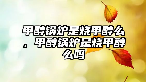 甲醇鍋爐是燒甲醇么，甲醇鍋爐是燒甲醇么嗎