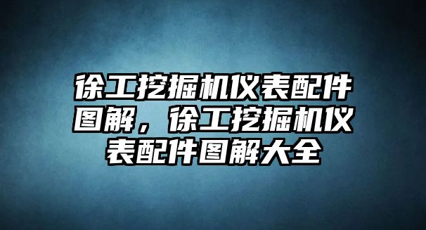 徐工挖掘機儀表配件圖解，徐工挖掘機儀表配件圖解大全