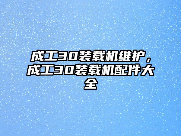 成工30裝載機維護，成工30裝載機配件大全