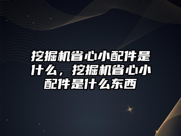 挖掘機省心小配件是什么，挖掘機省心小配件是什么東西