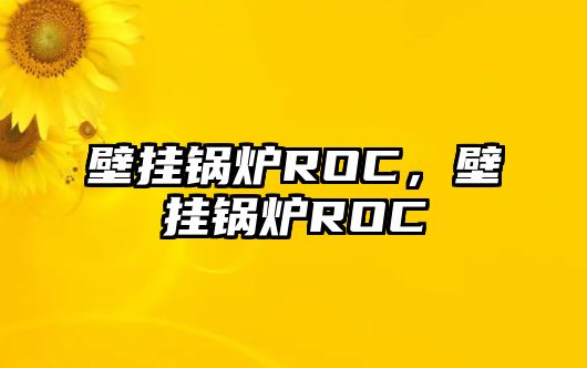 壁掛鍋爐ROC，壁掛鍋爐ROC