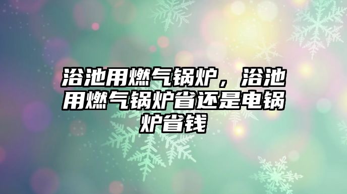 浴池用燃氣鍋爐，浴池用燃氣鍋爐省還是電鍋爐省錢