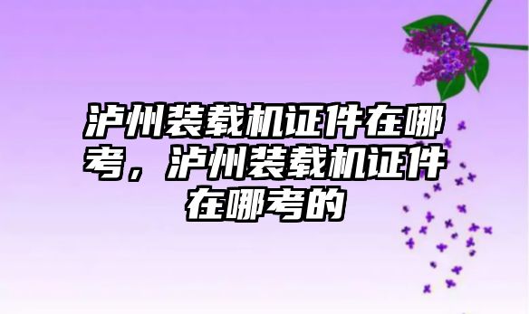 瀘州裝載機證件在哪考，瀘州裝載機證件在哪考的