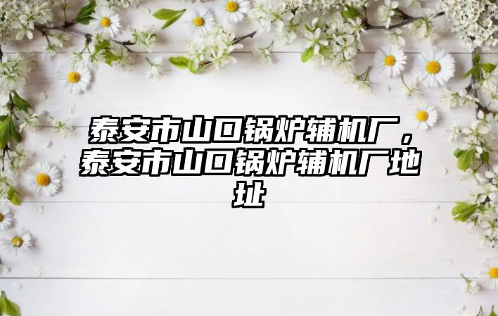 泰安市山口鍋爐輔機廠，泰安市山口鍋爐輔機廠地址