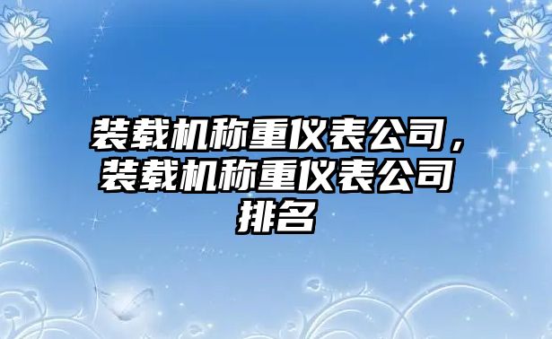 裝載機(jī)稱重儀表公司，裝載機(jī)稱重儀表公司排名