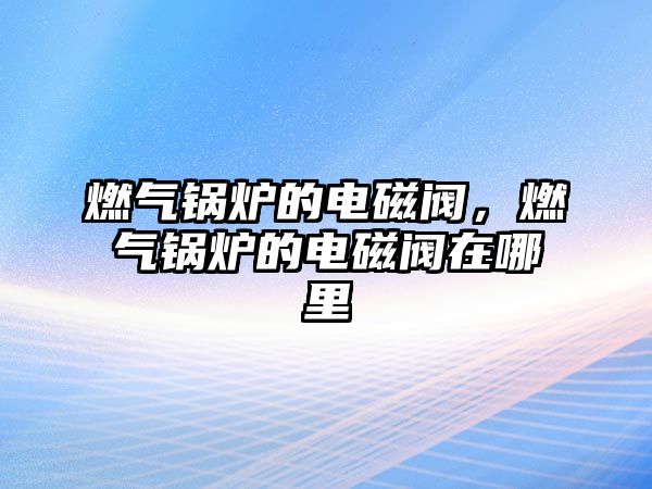 燃?xì)忮仩t的電磁閥，燃?xì)忮仩t的電磁閥在哪里