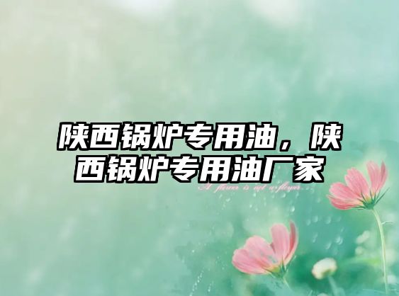 陜西鍋爐專用油，陜西鍋爐專用油廠家