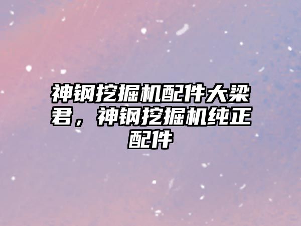 神鋼挖掘機配件大梁君，神鋼挖掘機純正配件