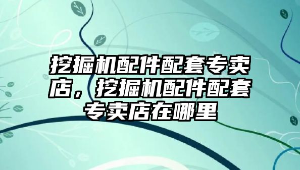 挖掘機配件配套專賣店，挖掘機配件配套專賣店在哪里