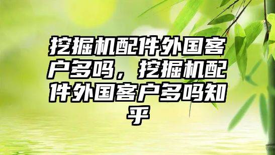 挖掘機配件外國客戶多嗎，挖掘機配件外國客戶多嗎知乎