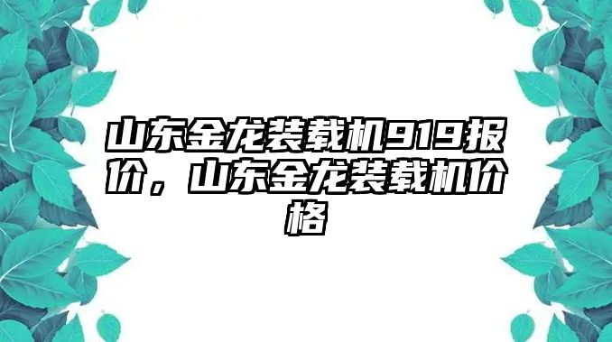 山東金龍裝載機(jī)919報(bào)價(jià)，山東金龍裝載機(jī)價(jià)格