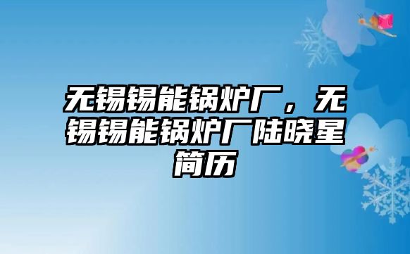 無(wú)錫錫能鍋爐廠，無(wú)錫錫能鍋爐廠陸曉星簡(jiǎn)歷