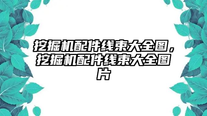 挖掘機配件線束大全圖，挖掘機配件線束大全圖片